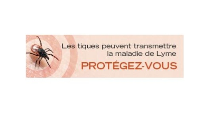 Maladie de Lyme : votre vigilance est de mise!