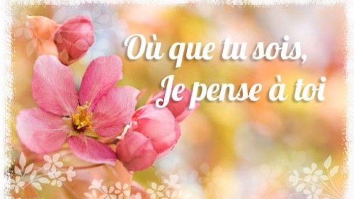 Bonne fête des mères