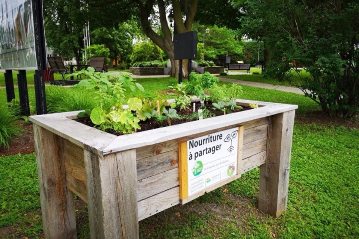 Incroyables Comestibles