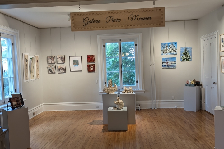 Galerie Pierre-Meunier