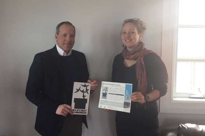 Protection du martinet ramoneur