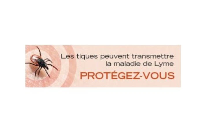 Maladie de Lyme : votre vigilance est de mise!